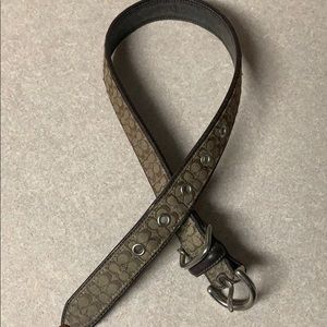 Coach logo large dog collar
